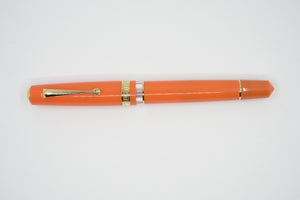 ASC Bologna Portofino Bespoke 2024 Arancio gold trim 24 pens ONLY !