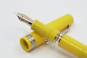 ASC Bologna Portofino Bespoke 2024 Giallo Rhodium trim 24 pens ONLY !